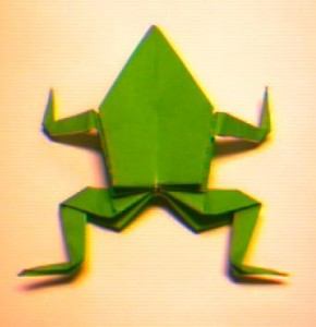 frog2.jpg